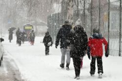 Rain In Delhi, Snowfall In J&K And Himachal; Flights Ops Impacted As North India Sees Weather Shift