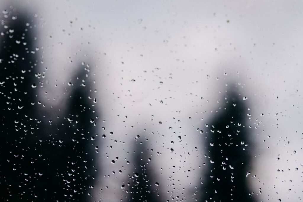 Cold Alert In Bengaluru: Bitter Chill This Week, Rain Lurking Next