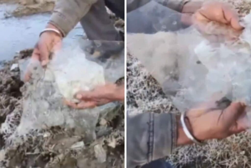 Ice Sheets, Frozen Dew: Biting Cold Grips Rajasthan’s Mount Abu As Temperature Dips To -7°C