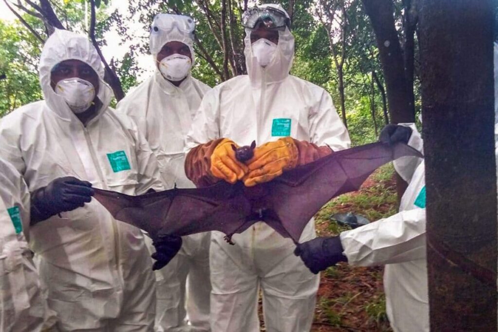 Nipah Virus Outbreak: All About The Disease With No Cure As Asian Airports Tighten Screening