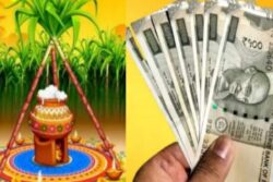 Pongal Gift Update: Ration Card Holders To Get Cash Instead Of Sarees And Veshtis This Year