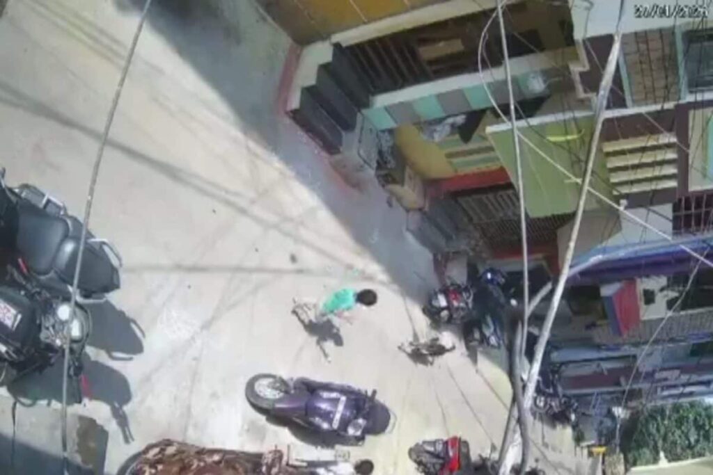 Five-Year-Old Mauled By Stray Dogs In Hyderabad As Mass Culling Of Canines Rocks Telangana