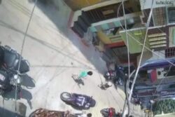 Five-Year-Old Mauled By Stray Dogs In Hyderabad As Mass Culling Of Canines Rocks Telangana