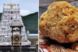 TDP Defends CM Naidu On Tirumala Laddu Issue, Cites NDDB Tests And CBI Chargesheet