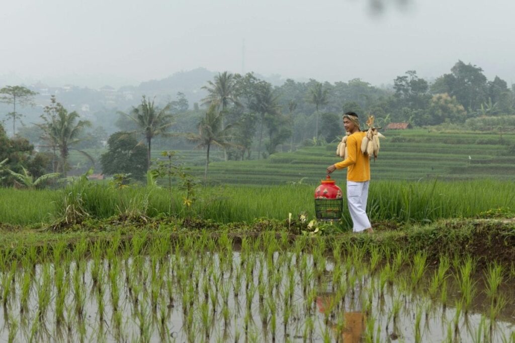 A Season Of Relief: Karnataka Sees Sharp Decline In Farmer Suicides
