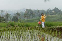 A Season Of Relief: Karnataka Sees Sharp Decline In Farmer Suicides