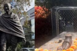 India Condemns Theft Of Mahatma Gandhi Statue In Australia, Seeks Swift Action