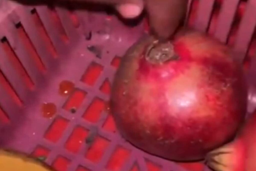 Vendor Held For Allegedly Applying Rat Poison On Fruits In Mumbai