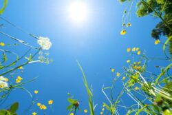 Bengaluru Braces For Harsh Summer: Intense Heat Likely For 2 Months