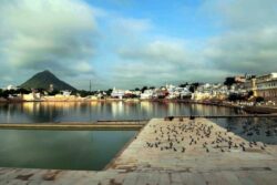 'Leave India': Two British Tourists Served Notice For Displaying 'Free Palestine' Posters In Pushkar