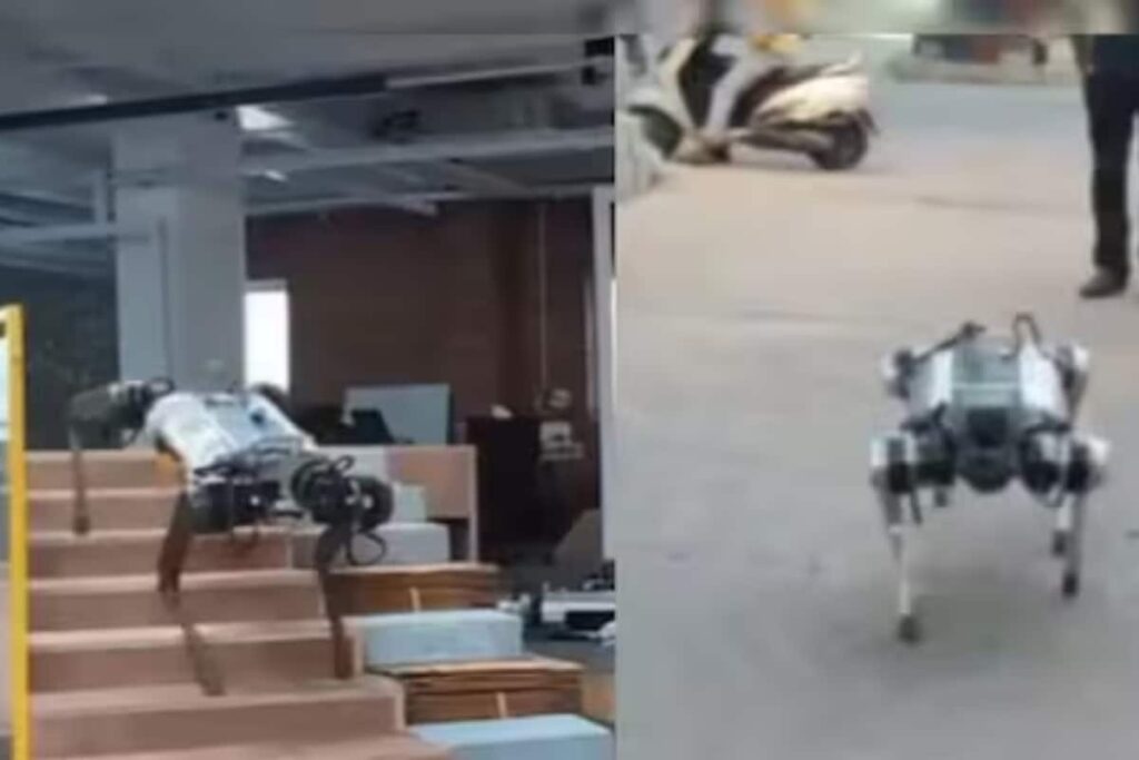 What Are Robodogs And Why Does India Need Them? Explained