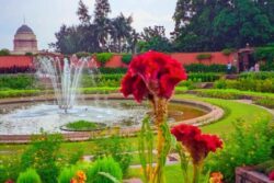 Amrit Udyan To Open For Public Viewing From February 3: How To Book Tickets, Entry Rules, Special Days