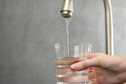 No Cauvery Water In Bengaluru On Feb 5 And 6: Check If Your Area Is Affected