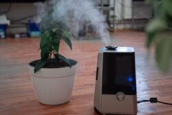 405 Air Purifiers Bought For Parliament, Govt Offices, SC In Last Four Years: Minister Informs Lok Sabha