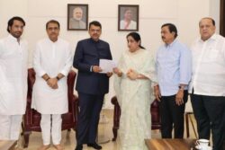 Sunetra Pawar Meets Fadnavis, Demands CBI Probe Into Ajit Pawar Plane Crash