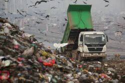 Bengaluru’s Stint With Stink: How A Local Protest Sparked City-Wide Garbage Gridlock