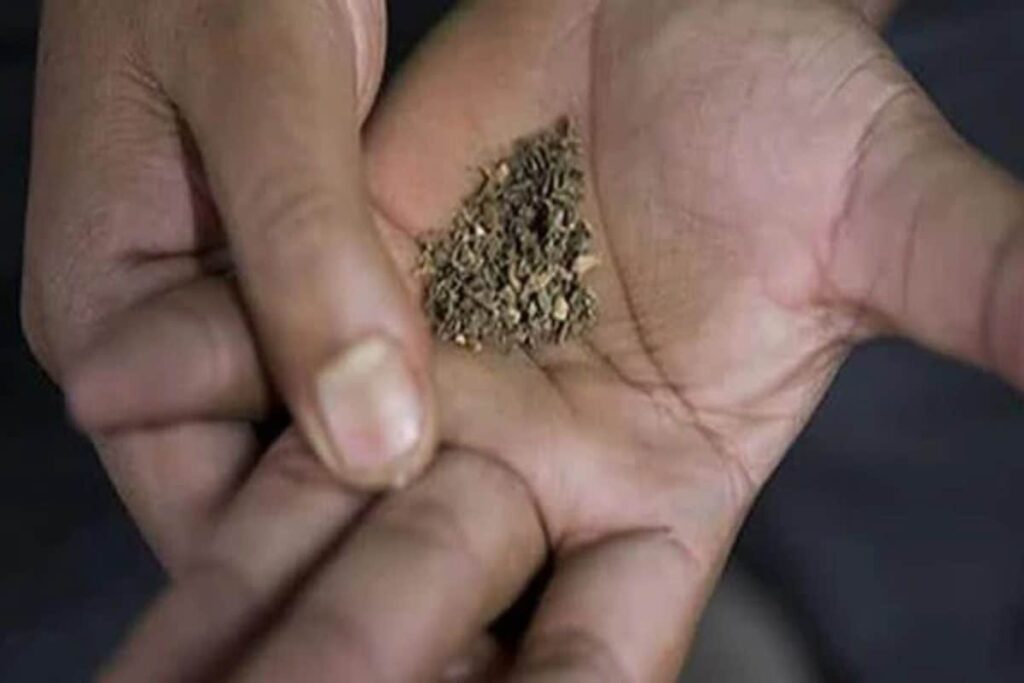 Despite Ban, Gutkha Trade Continues In Maharashtra; Govt Says 3,173 Arrested In 2025