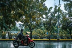 Rain Alert For Bengaluru: IMD Warns Of Heavy Showery Spell Over Next 2 Days