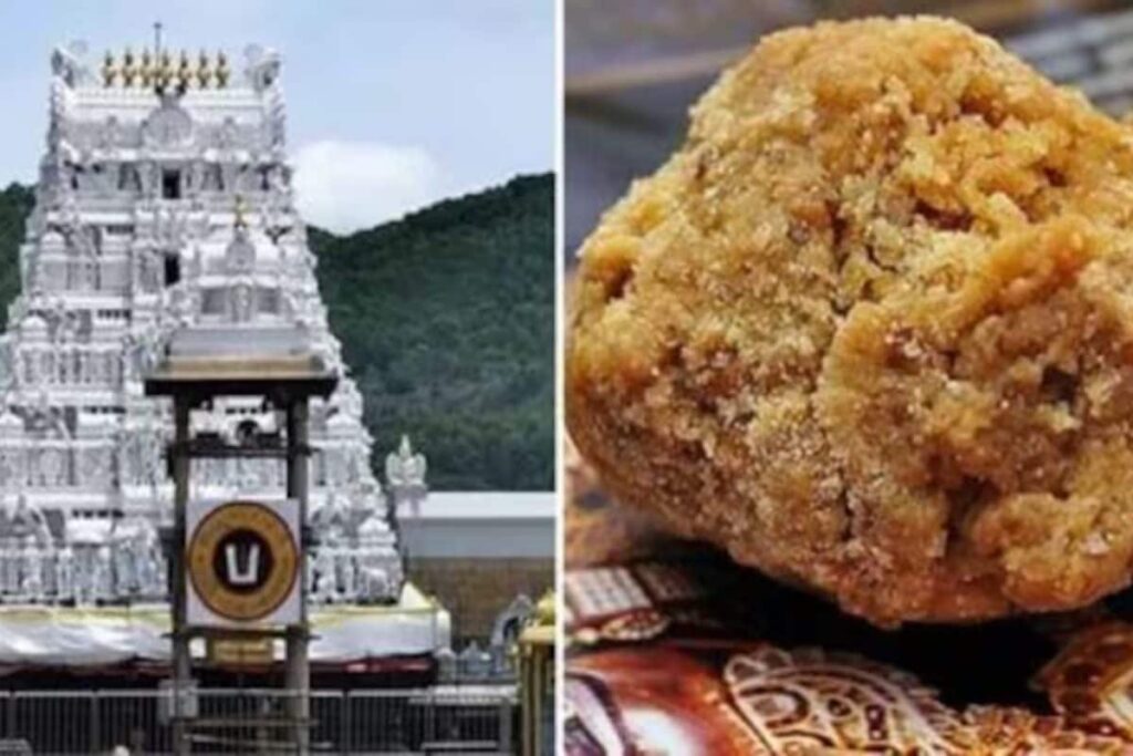 Tirupati Laddu Row: Andhra Govt Sets Up Committee To Examine SIT Report | Exclusive