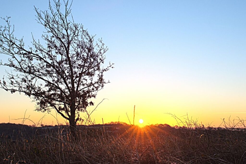 Bengaluru To Feel Warmer From Today: IMD Warns Of Rising Temperatures