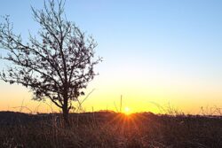 Bengaluru To Feel Warmer From Today: IMD Warns Of Rising Temperatures