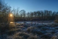 Dry Weather Stays In Bengaluru, But Some Areas Are Feeling The Cold More