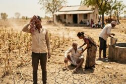 From Telangana To Bihar: These States Offer Compensation For Heatstroke Deaths