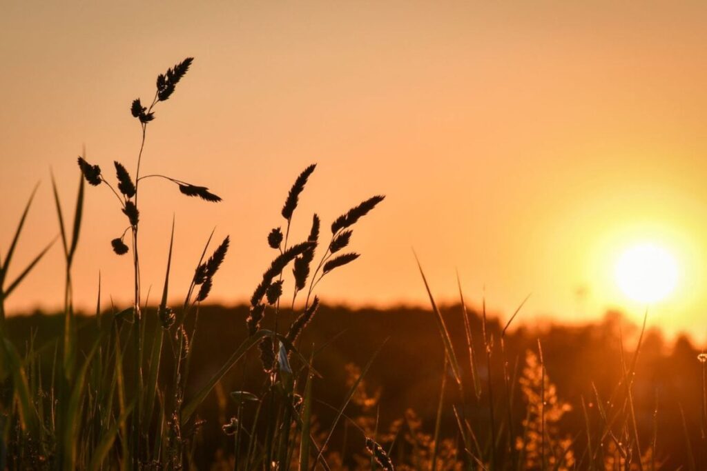 Bengaluru Weather Alert: Humidity And Heat To Rise Further This Weekend
