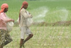 Supply Choked, Prices Soaring: How India Is Dealing With The Fertiliser Shock Amid Iran War