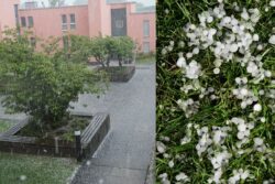 Rain, Hailstorms Hit Karnataka Before Ugadi, Farmer Dies In Lightning Strike