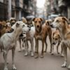 Around 100 Stray Dogs Allegedly Poisoned To Death, Buried Near River In Telangana
