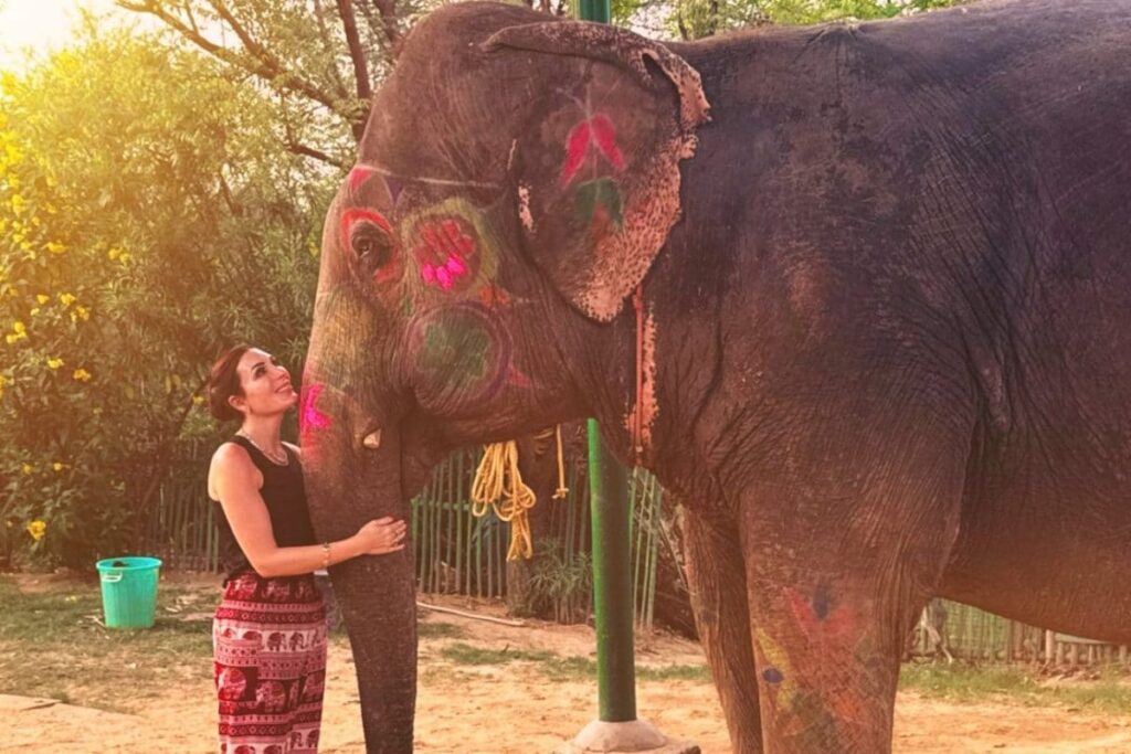 India Best Country I Have Travelled To, Says Laura Loomer After Backlash Over Deleted Racist Remarks