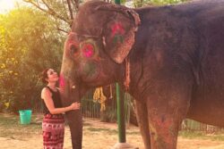 India Best Country I Have Travelled To, Says Laura Loomer After Backlash Over Deleted Racist Remarks