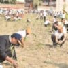 PM Modi's Varanasi Constituency Sets Guinness Record, Plants 2.5 Lakh Saplings In An Hour