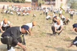 PM Modi's Varanasi Constituency Sets Guinness Record, Plants 2.5 Lakh Saplings In An Hour