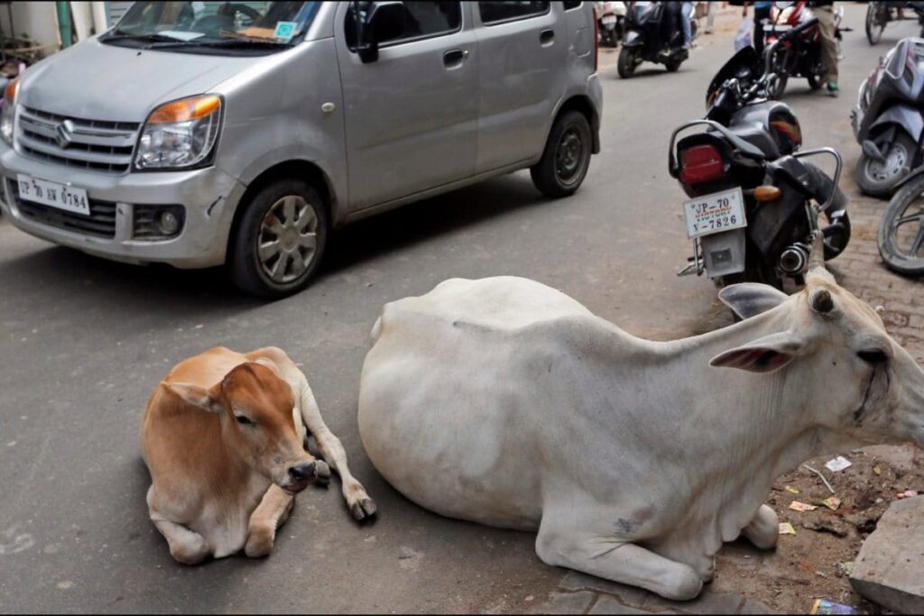Missing Spittoons, Stray Cows & Unpainted Canteens: How Jan Vishwas Bill 2026 Is Ending 'Absurd' Laws