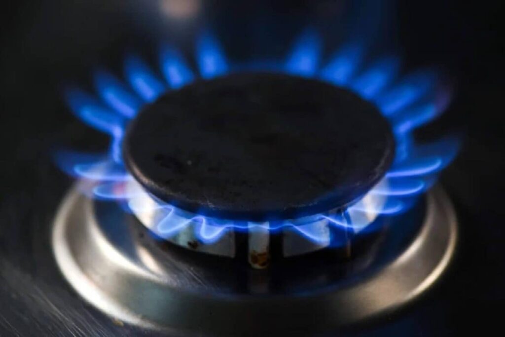 Cheaper Than LPG, Cleaner Than Kerosene: Can 'Superblu' Ethanol Flame Fire Up India's Food Economy?