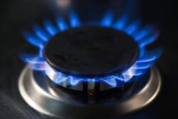 Cheaper Than LPG, Cleaner Than Kerosene: Can 'Superblu' Ethanol Flame Fire Up India's Food Economy?