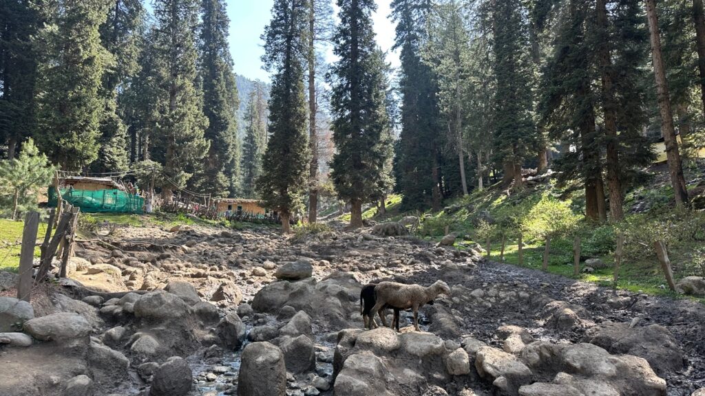 From Cloudburst In Ramban To Pahalgam Terror Attack: A Reporter’s Harrowing 48 Hours In Kashmir