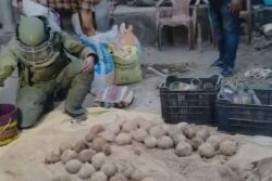 Bengal Polls: NIA Steps In After 79 Crude Bombs Found In Bhangar Days Before Final Phase