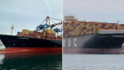 'They're Safe': MEA Confirms Indian Seafarers On Board Ships Fired At By Iran In Hormuz