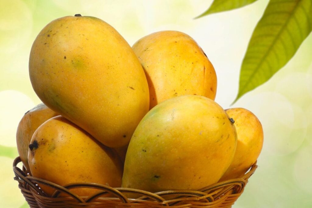 Totally Aam-azing: How India's Favourite Fruit Is Winning The World, One Shipment At A Time