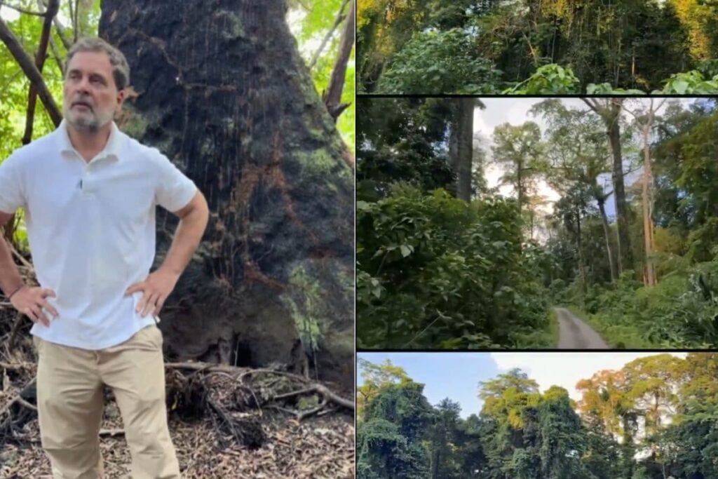 ‘Biggest Scam Against Natural Heritage’: Rahul Gandhi Targets Centre Over Great Nicobar Project