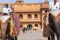 Anant Ambani's Birthday Celebrated At Jaipur's Hathi Gaon With Elephants, 3,000 Kg Fruit Buffet