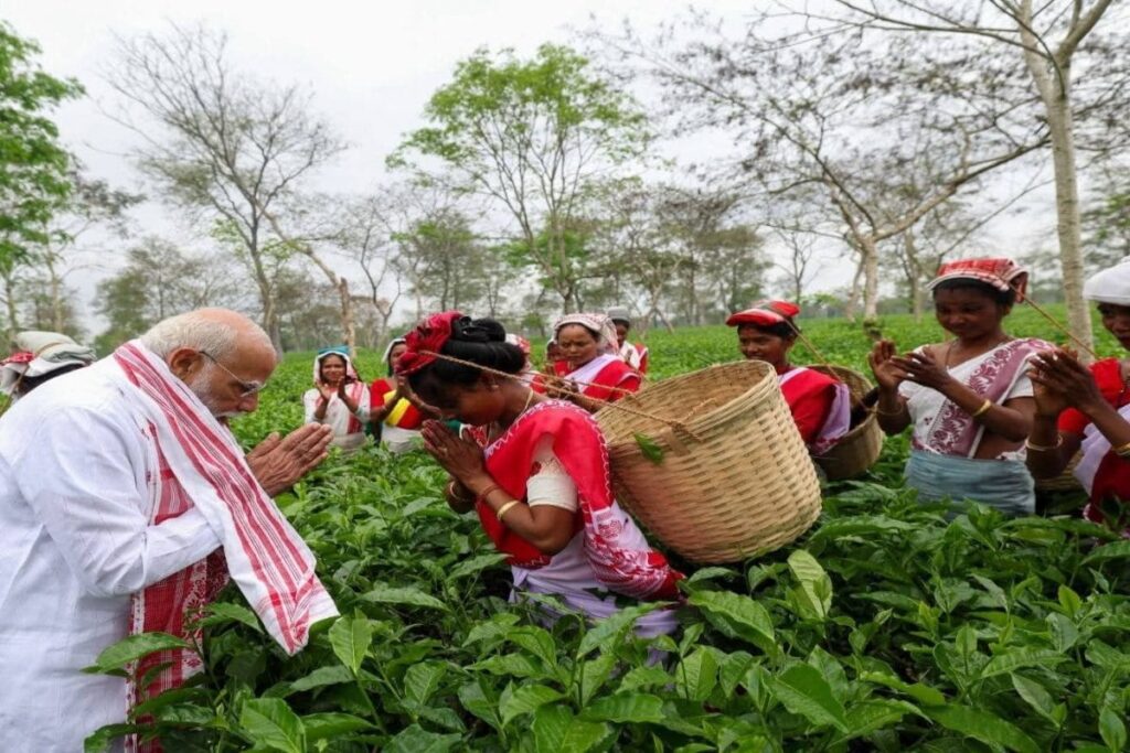 From Plucking Tea Leaves To Jhumur Songs: PM Modi's Day Out With Tea Garden Workers In Assam