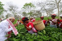 From Plucking Tea Leaves To Jhumur Songs: PM Modi's Day Out With Tea Garden Workers In Assam