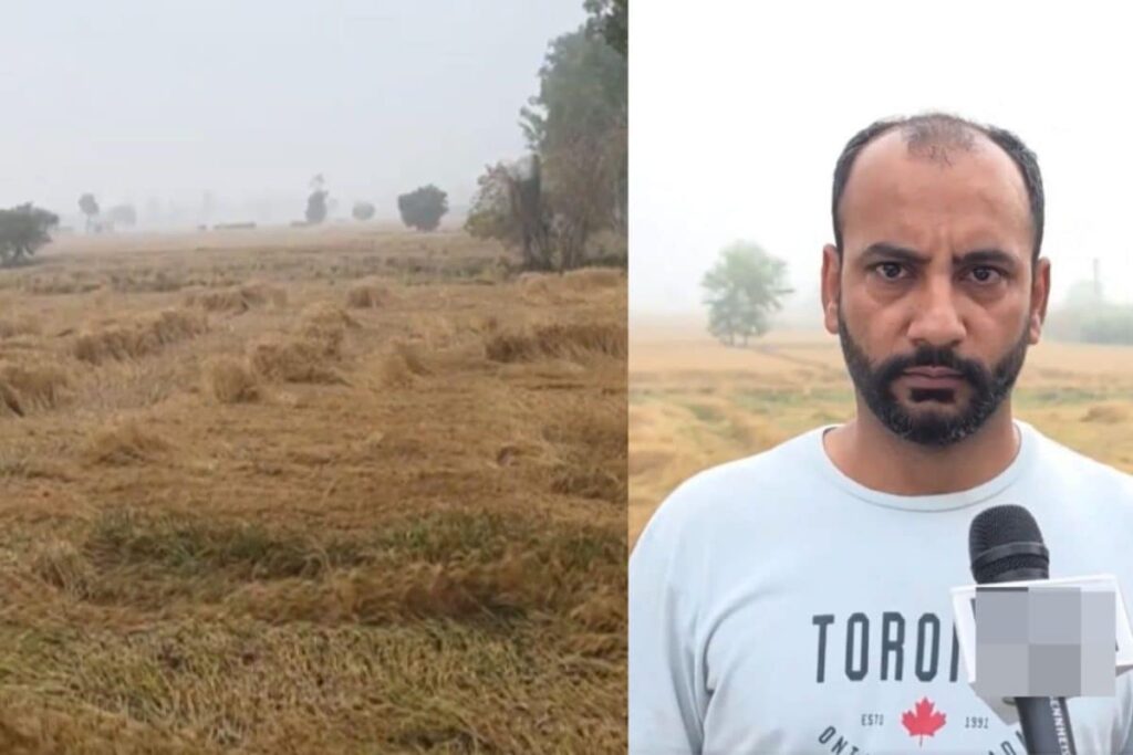 Unseasonal Rain Cools Cities But Farmers Bear The Brunt As Erratic April Weather Damages Crops