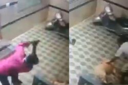 Bengaluru Man Attacks Neighbour’s Pet Dog After It Barked At His Wife | Video