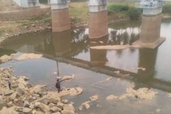 Six Drown In Cauvery River Near Mysuru Temple, Two Critical; CM Announces Rs 5 Lakh Relief