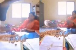 Frustrated Over Missing Files, Chattisgarh Man Throws Almonds On Govt Officer's Desk | Video